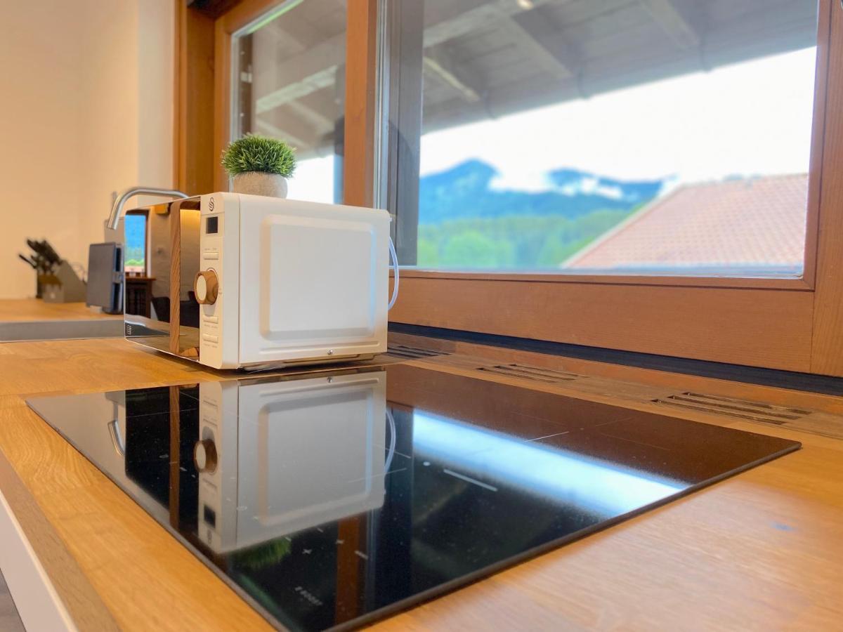 Grosszuegige Ferienwohnung Am Tegernsee Mit Suedbalkon Und Wallbergblick 바트비제 외부 사진
