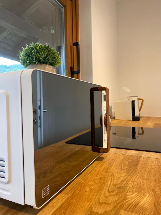 Grosszuegige Ferienwohnung Am Tegernsee Mit Suedbalkon Und Wallbergblick 바트비제 외부 사진